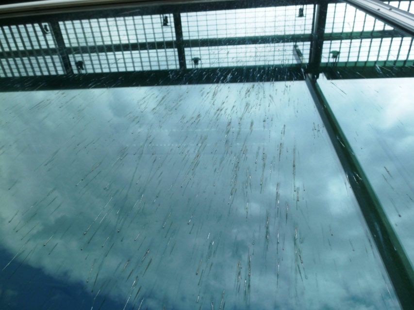 Beschädigte Glasscheibe